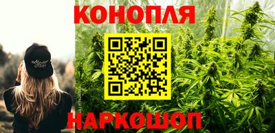 стаф Кингисепп