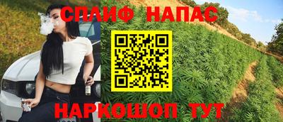 стаф Кингисепп