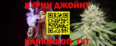 стаф Кингисепп