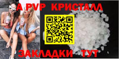 стаф Кингисепп